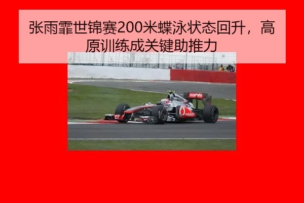 zhang-yu-fei-shi-jin-sai-mi-die-yong-zhuang-tai-hui-sheng-gao-yuan-xun-lian-cheng-guan-jian-zhu-tui-li-2-772.jpg