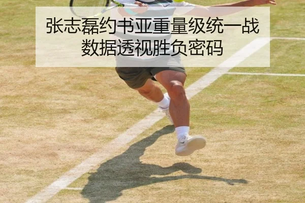 张志磊约书亚重量级统一战 数据透视胜负密码
