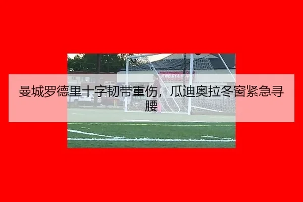 曼城罗德里十字韧带重伤，瓜迪奥拉冬窗紧急寻腰